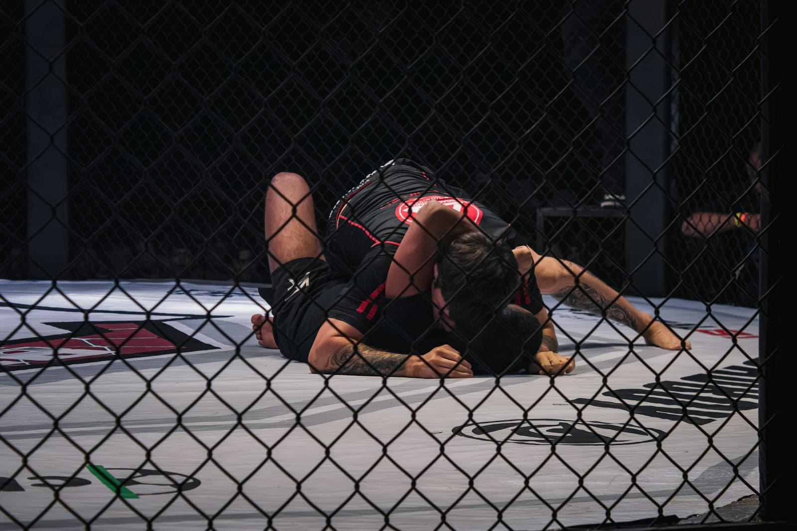 Two mixed martial arts fighters competing inside a cage